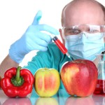 Над какими продуктами питания работают сегодня генетики?