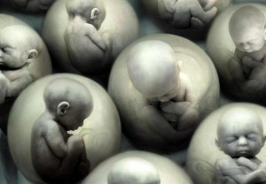 гены в эмбрионах