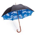 Факты про зонт, которые Вы не знали